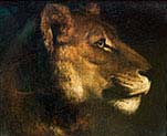 Lioness Head